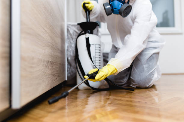 Best Pest Inspection Near Me  in Shongopovi, AZ
