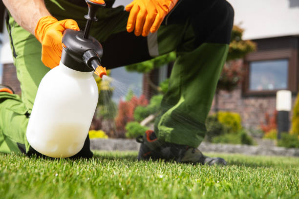 Best Best Pest Control Companies  in Shongopovi, AZ