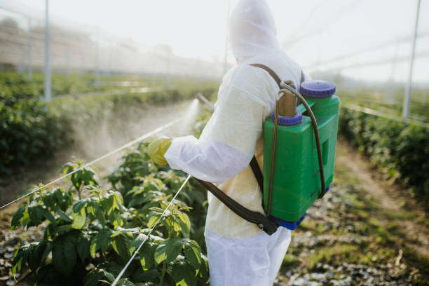 Best Residential Pest Control  in Shongopovi, AZ
